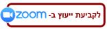 יעוץ בזום