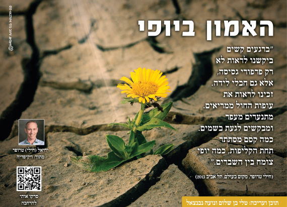 האמון ביופי