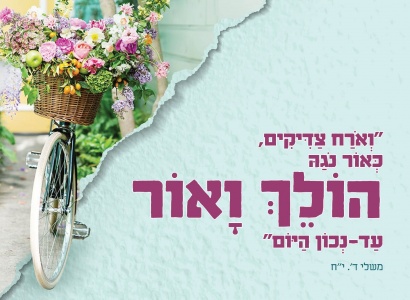 מדרשת נגה